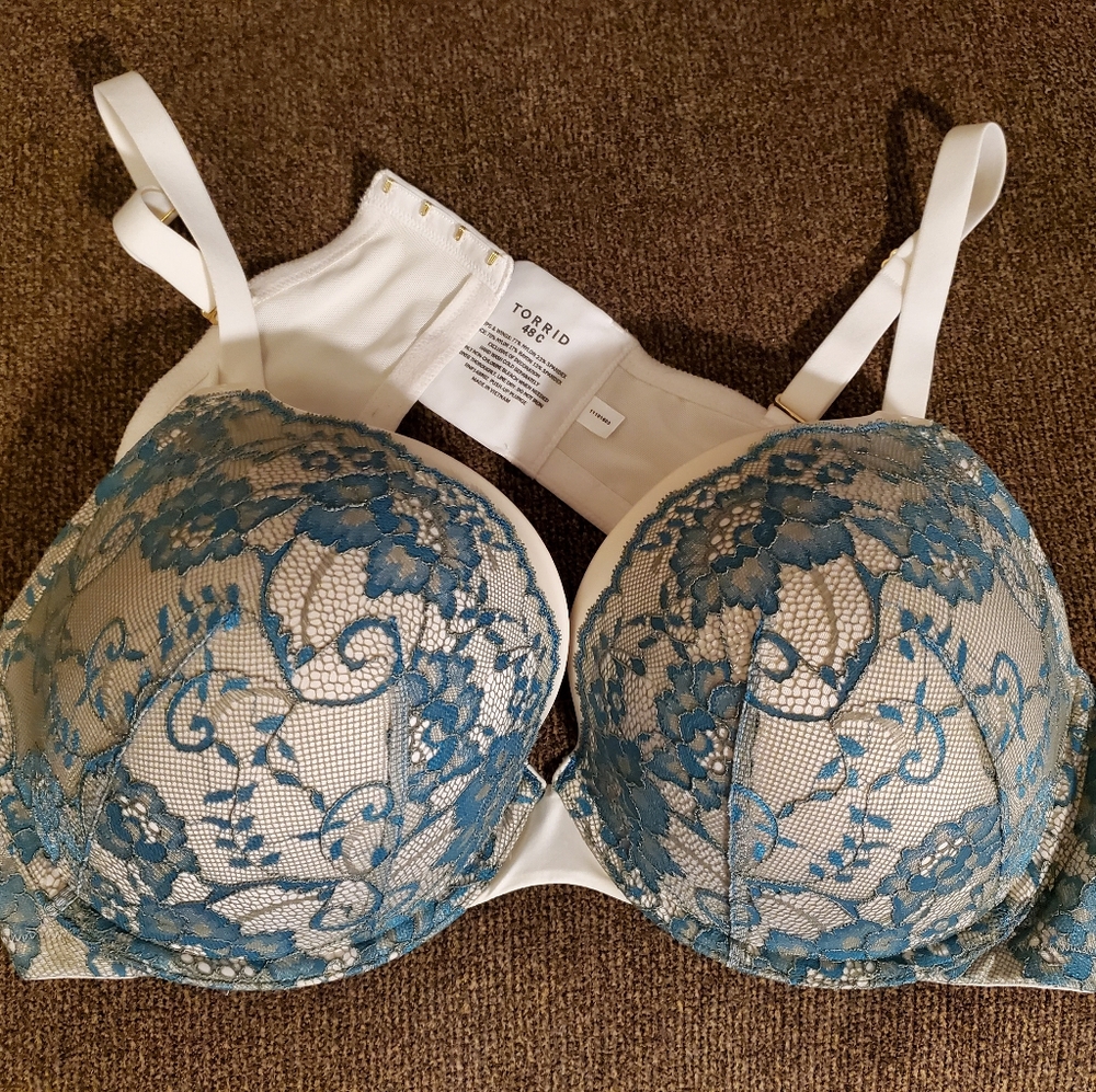 Torrid push-up plunge bra